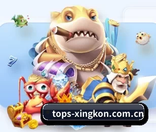 关于我们 - 体育资讯内容服务 - xingkong