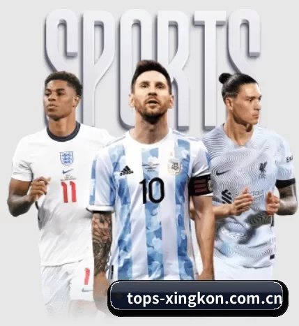 五大服务分区,信息按项目分类 | xingkong