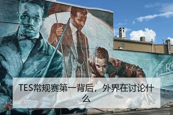 TES常规赛第一背后，外界在讨论什么