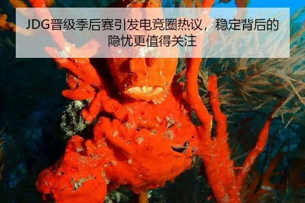 JDG晋级季后赛引发电竞圈热议，稳定背后的隐忧更值得关注